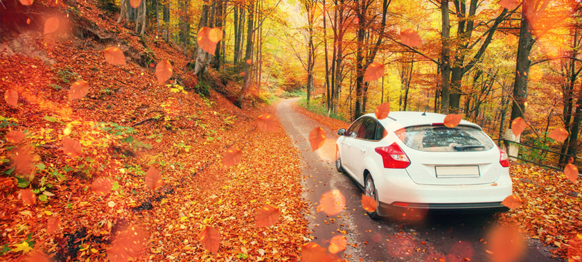 auto_insurance